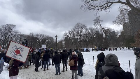 Freedom of rights Rally