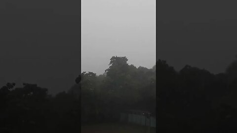 nice beautiful natural rain