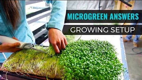 Microgreen