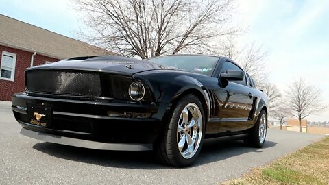 Stunning 2008 Ford mustang Wearing High Gloss Volvo Black Paint