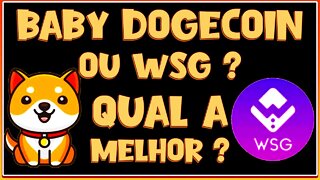 BABY DOGECOIN OU WSG QUAL A MELHOR ?