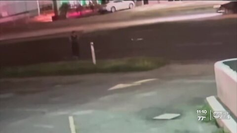 FHP troopers asking for the public's help looking for the deadly hit-and-run driver