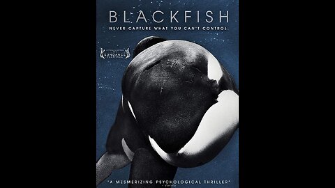 Blackfish 2013