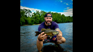 Smallmouth Bass on the Delaware River