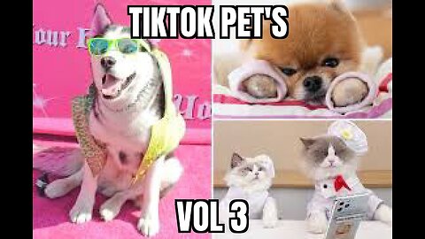 TIKTOK PET'S VOL 3