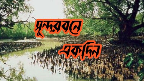 Beautiful_Bangladesh_Sundarbans