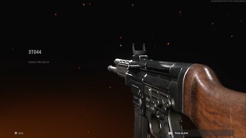 HERES THE STG-44 IN COD VANGUARD LEAKED!