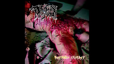 Torsofuck - Postpartum Exstasy (Full Album)