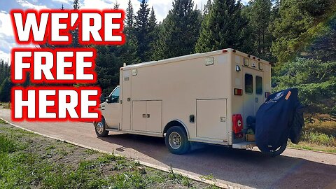 We're Hiding From The Wind At A (Free) Camp In The Black Hills | Ambulance Conversion Life