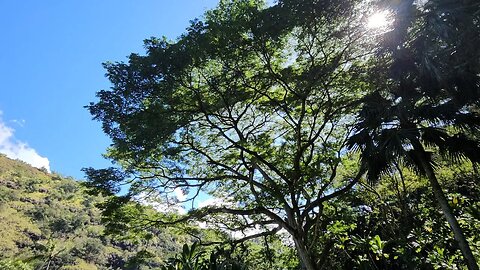 Waimea Valley, Oahu