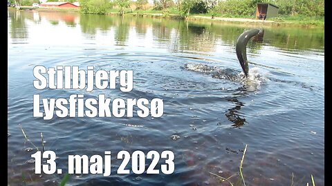 Stilbjerg Lystfiskersø - 2023-05-13