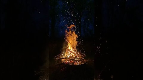 Cozy Campfire Crackles: ASMR Wood Burning by the Fire #soundeffects #nocopyright #contentcreation