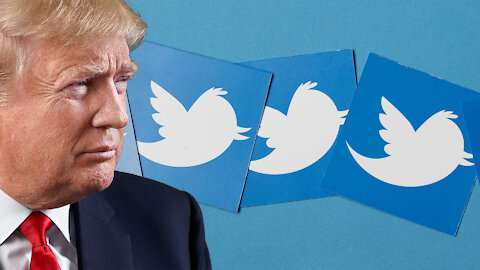 Twitter Will Not Restore Trump's Account Even If Wins Again, Project Veritas Goes After Facebook