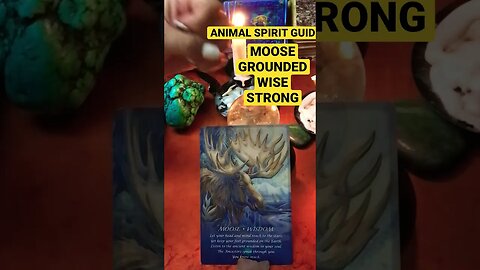 #spiritguidemessage #animalspiritguides #spiritualawakening #shortsfeed #shortsMOOSE STRONG 💪 WISE