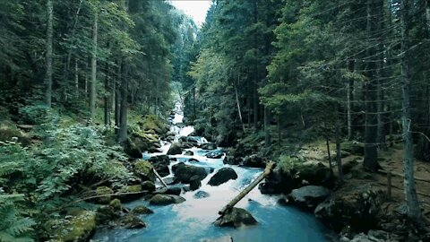 Calm Piano Music Nature Video with Beautiful Mountain River and Birds Singing