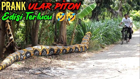 Funny Videos || Python Prank Makes You Messy || Original Makes You Laugh 🤣🤣