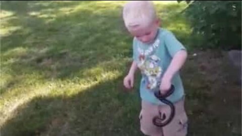 Fearless kid handles snakes and gets bitten