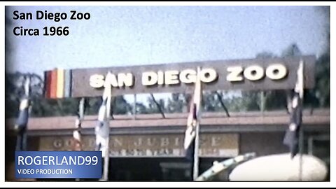 San Diego Zoo Circa 1966