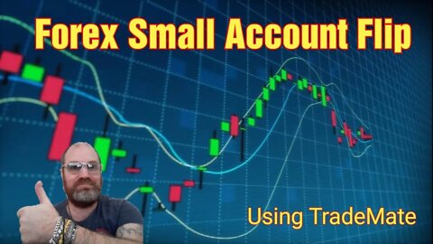 Forex Small account Flip From 100 dollar Using Free TradeMate