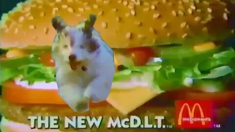 "I Love My McDLT And My Puppy Dog" 80's McDonalds Commercial (1986)