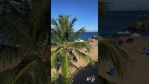 W&R Short: Playa Alicia Sosua Dominican Republic