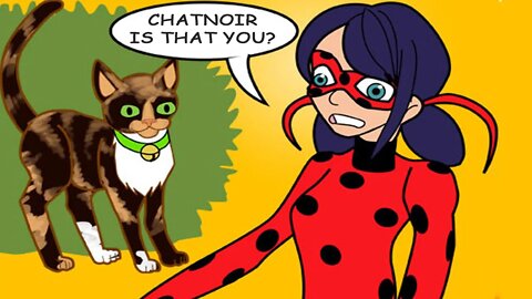 "First Date" Ladybug Comics | Miraculous Ladybug Comics Dub Compilation