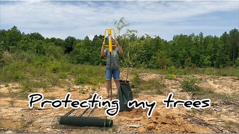 Protecting My Trees From Wind And Deer #hedgehogshomestead #gardening