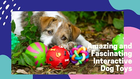 Amazing and Fascinating Interactive Dog Toys