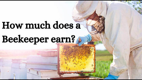 Beekeeper Salary