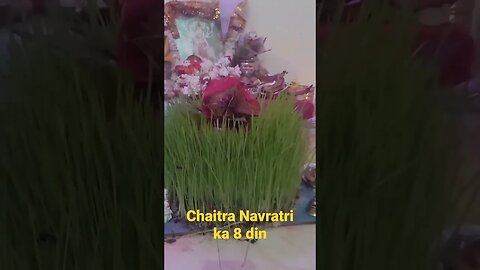 Ashtami 2023 | Chaitra Navratri 2023 day 8 | maha ashtami 2023 chaitra navratri #jaimatadi