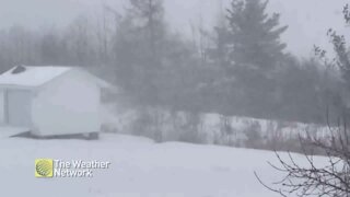 Blustering snow in a rural backyard covered in snow