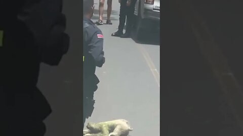 Police escort sloth as it slowly crosses the road in Costa Rica | #Shorts #Animals #Sloth