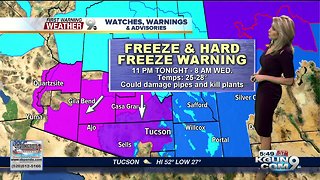 Hard Freeze Warning