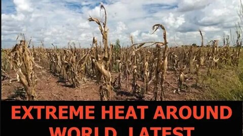 22,000 People Hospitalized with Heat Stroke, Extreme Weather Around the World, Latest