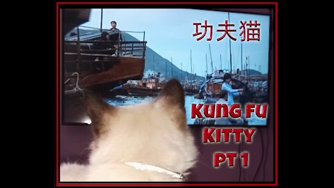 Kung Fu Kitty #1