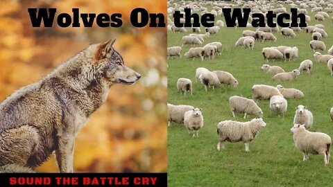 Wolves On the Watch: Dangers of Discernment Ministries