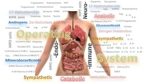 The Disconnected Puzzle Why Neurology, Endocrinology, and Immunology Need Each Other