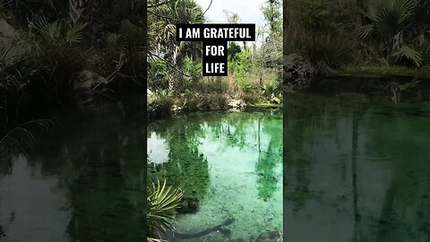 I AM GRATEFUL🙏MOTIVATION #shortsfeed #spiritualawakening #gratitude #goodvibes #motivationalshort