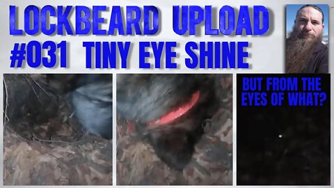 UPLOAD #031. Tiny Eye Shine