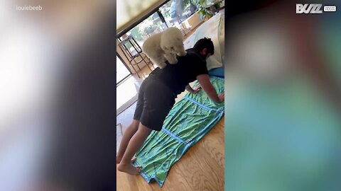 Senhor faz exercício acompanhado pelo seu cão