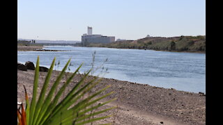 Davis Campground - Laughlin, Arizona