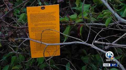 Solid Waste Authority of Palm Beach County: Not a good time for major yard work