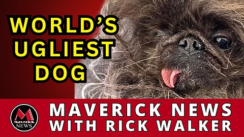 World's Ugliest Dog | Maverick News Top Stories with Rick Walker