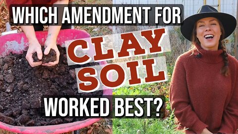 Which Clay Soil Amendment is Best? PART 2