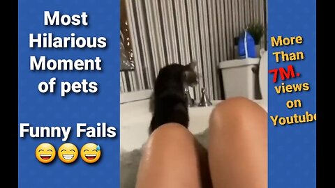 Most viewed funny faiils 2024 part_5 cute animal funny fails epic fails