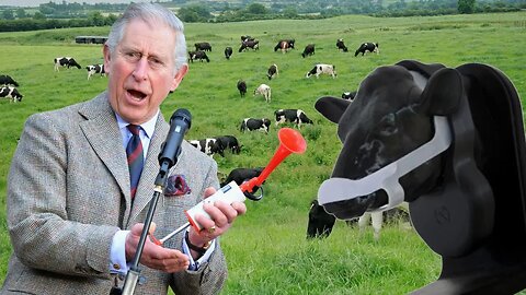 Prince Charles backs gimp masks for cows