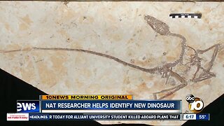 San Diego researcher identifies new dinosaur