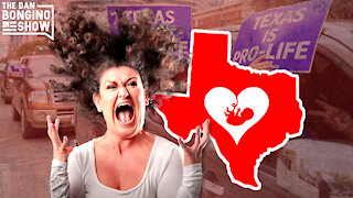 Massive Pro-Life Win In Texas Has Libs Screaming At The Sky