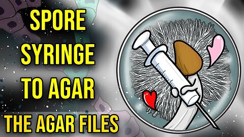 Spore Syringe to Agar - The Agar Files