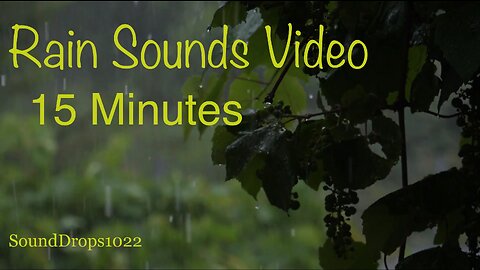 Sit Back And Relax With 15 Minutes Of Rain Sounds Video